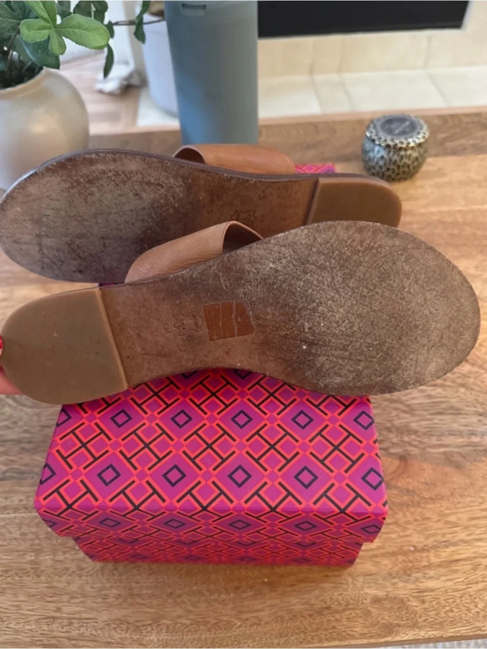 Tory Burch Paris Disc sandals